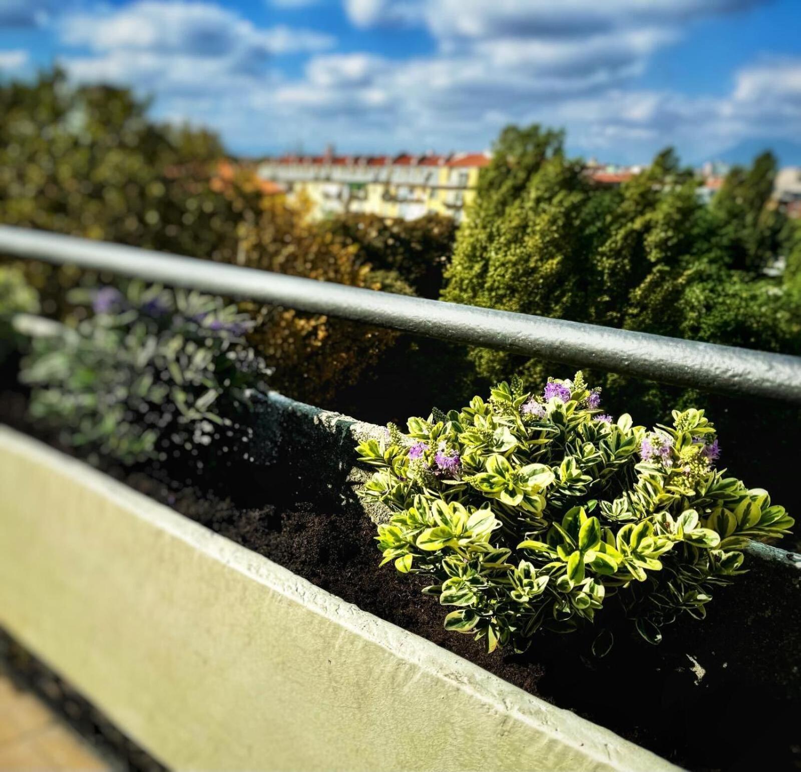 Gianduja - Attico Con Terrazzo Daire Torino Dış mekan fotoğraf